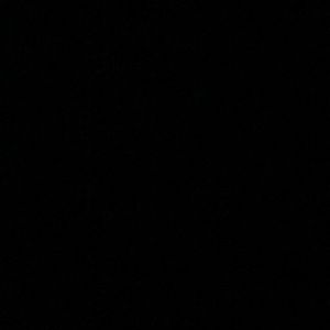 Meet your Posher, Linnea